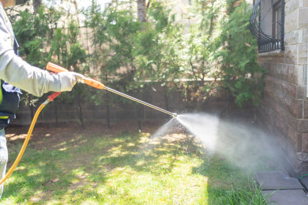 Best Wildlife Control Services  in Hanamaulu, HI
