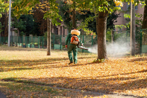Best Pest Removal Services  in Hanamaulu, HI
